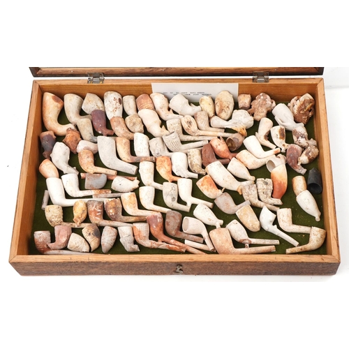 1324 - Large collection of antique clay tobacco smoking pipes and bowls arranged in a glazed display case i... 