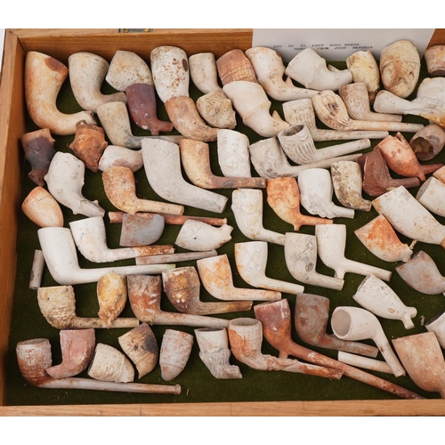 1324 - Large collection of antique clay tobacco smoking pipes and bowls arranged in a glazed display case i... 