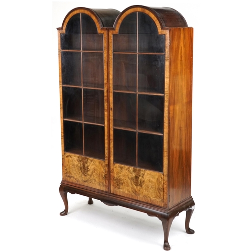 2047 - Regency style double dome burr walnut bookcase with glazed doors enclosing three shelves, 178cm H x ... 