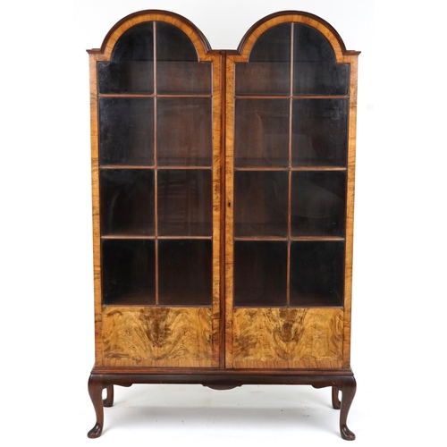 2047 - Regency style double dome burr walnut bookcase with glazed doors enclosing three shelves, 178cm H x ... 