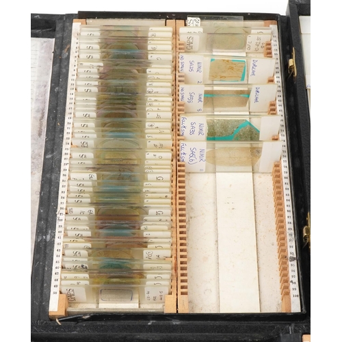 363 - Large collection of scientific microscopic prepared glass slides arranged in four cases including tr... 