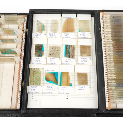 363 - Large collection of scientific microscopic prepared glass slides arranged in four cases including tr... 