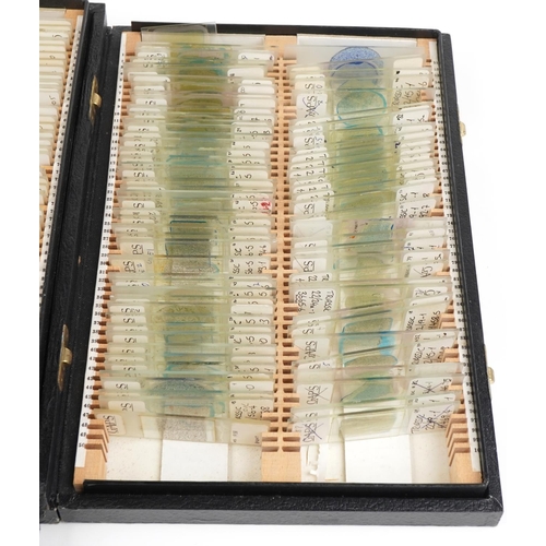 363 - Large collection of scientific microscopic prepared glass slides arranged in four cases including tr... 