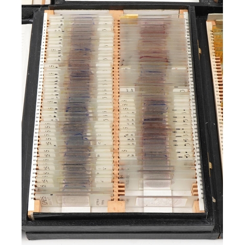 363 - Large collection of scientific microscopic prepared glass slides arranged in four cases including tr... 