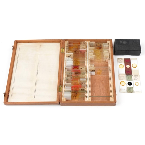 360 - Collection of scientific microscopic prepared glass slides arranged in two fitted case including zoo... 