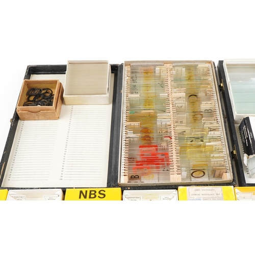 364 - Collection of scientific microscopic prepared glass slides and various accessories, the slides inclu... 