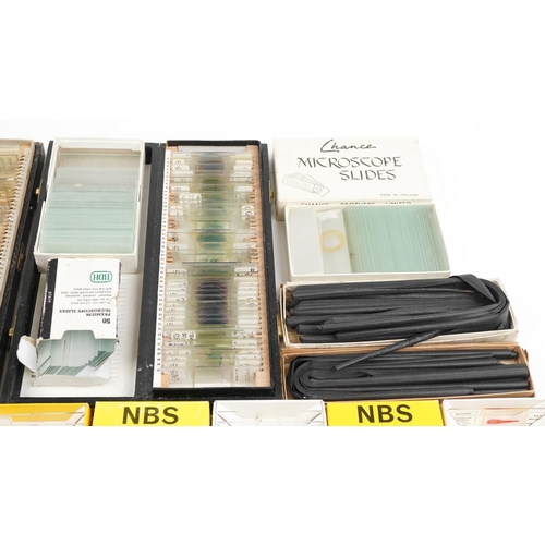 364 - Collection of scientific microscopic prepared glass slides and various accessories, the slides inclu... 