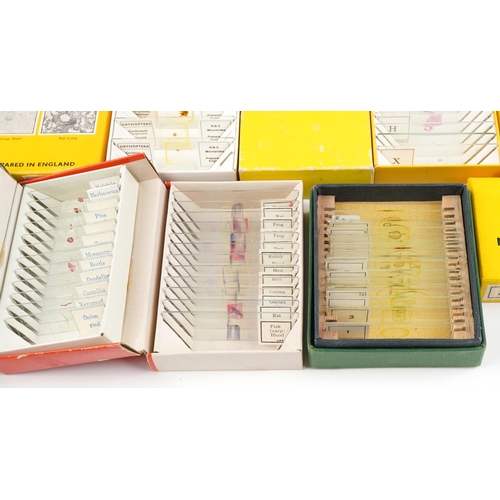 364 - Collection of scientific microscopic prepared glass slides and various accessories, the slides inclu... 