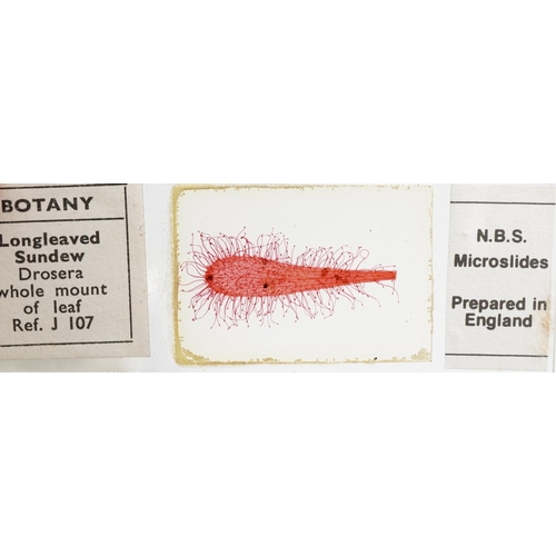 364 - Collection of scientific microscopic prepared glass slides and various accessories, the slides inclu... 