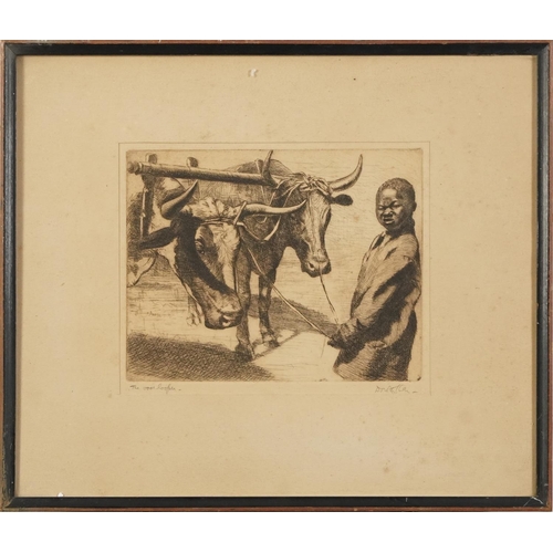 340 - Dorothy Kay - Boy with two bulls, pencil signed black and white etching, Hallis & Co, Main Street, P... 