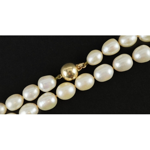 3480 - Freshwater pearl necklace with 9ct gold ball clasp, 80cm in length, 70.2g