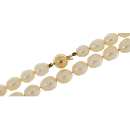 3480 - Freshwater pearl necklace with 9ct gold ball clasp, 80cm in length, 70.2g