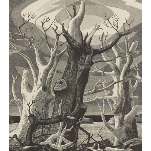 300 - Monica Poole - Dead Trees Sheppey, wood engraving inscribed 1977 In the Florin Press 1983 verso, mou... 