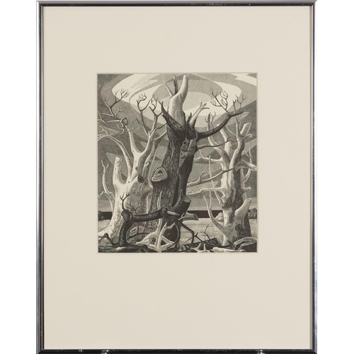 300 - Monica Poole - Dead Trees Sheppey, wood engraving inscribed 1977 In the Florin Press 1983 verso, mou... 