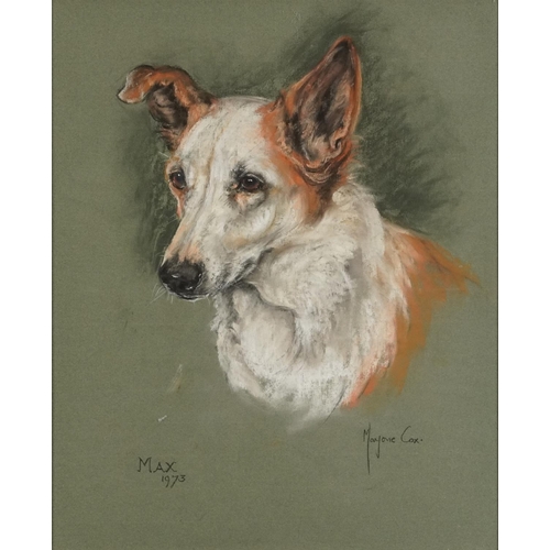 121 - Marjorie Cox 1973 - Portrait of a dog entitled Max, signed pastel, mounted, framed and glazed, 45cm ... 