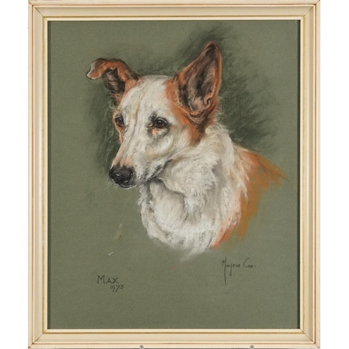 121 - Marjorie Cox 1973 - Portrait of a dog entitled Max, signed pastel, mounted, framed and glazed, 45cm ... 