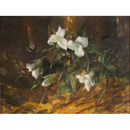 272 - Geoffrey Rock - Trilliums, The Flower of Ontario, Canadian oil on board, label verso, mounted and fr... 