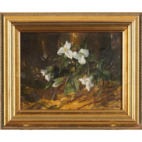 272 - Geoffrey Rock - Trilliums, The Flower of Ontario, Canadian oil on board, label verso, mounted and fr... 