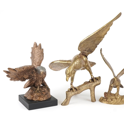 1090 - Three large brass eagles and a hand painted plaster eagle, the largest 61cm wide