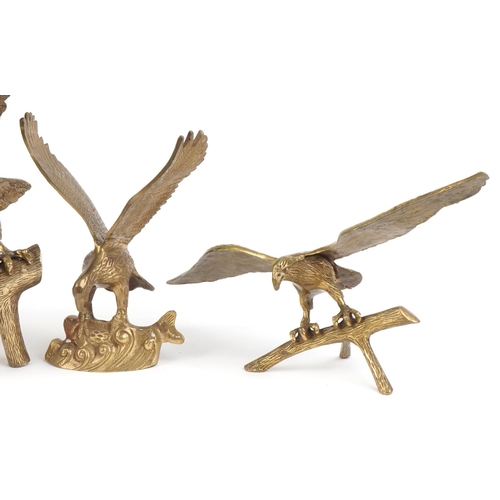 1090 - Three large brass eagles and a hand painted plaster eagle, the largest 61cm wide