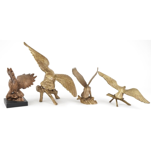 1090 - Three large brass eagles and a hand painted plaster eagle, the largest 61cm wide