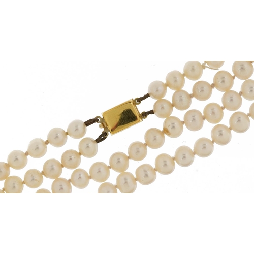 2803 - Cultured pearl two row necklace with 9ct gold clasp housed in an H Samuel fitted box, 38cm in length... 