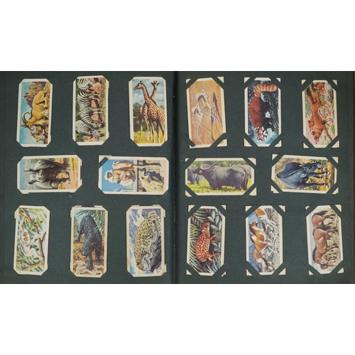 1499 - Large collection of cigarette cards, some arranged in albums, including motor cars and international... 