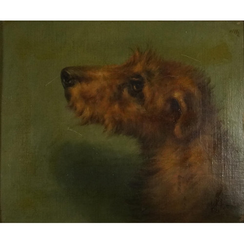 403 - Portrait of a dog's head, 19th century oil on canvas board, framed, 29cm x 24cm excluding the frame