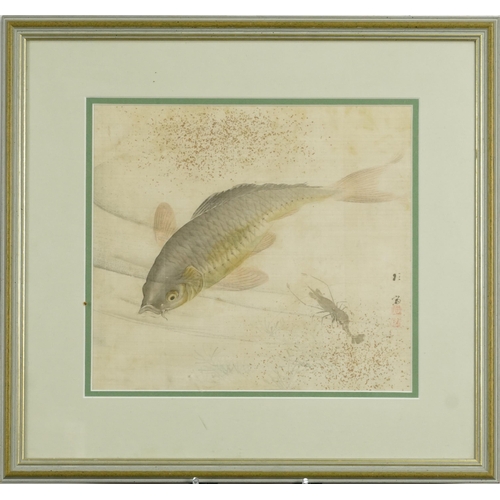 408 - Shrimp, Japanese watercolour on silk with red seal marks, mounted, framed and glazed, 27.5cm x 25cm ... 