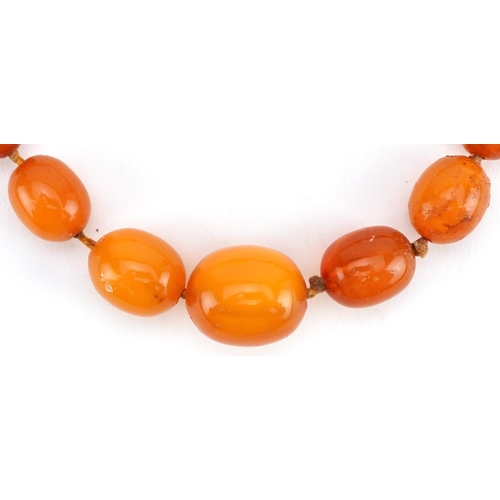 2115 - Butterscotch amber coloured graduated bead necklace, the largest bead approximately 1.9cm wide, over... 