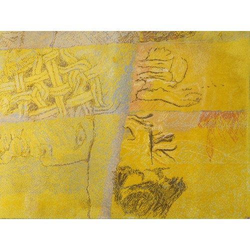 1041 - Naja Salto, Danish yellow ground carpet, design number 80575, 335cm x 250cm