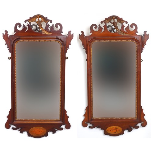 1010 - Pair of George III style mahogany pier mirrors with shell inlay and bird carvings, 91.5cm x 51cm