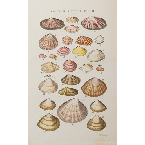 1506 - Selby's Illustrated Index of British Shells, hardback book with coloured plates by G B Selby London,... 