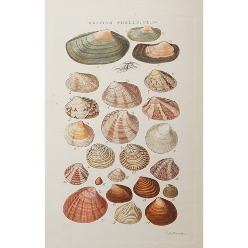 1506 - Selby's Illustrated Index of British Shells, hardback book with coloured plates by G B Selby London,... 