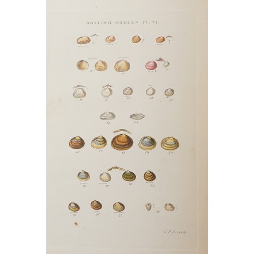 1506 - Selby's Illustrated Index of British Shells, hardback book with coloured plates by G B Selby London,... 