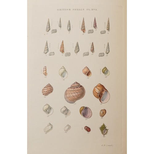 1506 - Selby's Illustrated Index of British Shells, hardback book with coloured plates by G B Selby London,... 