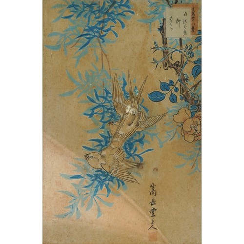 276 - Birds of paradise amongst flowers, three 19th century Japanese woodblock prints, mounted, framed and... 