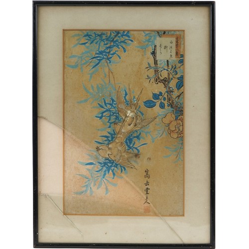 276 - Birds of paradise amongst flowers, three 19th century Japanese woodblock prints, mounted, framed and... 