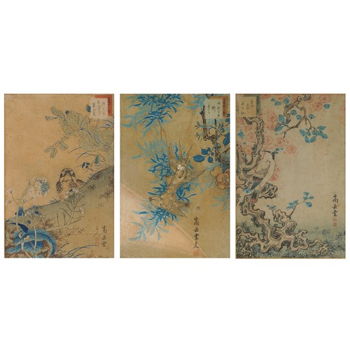 276 - Birds of paradise amongst flowers, three 19th century Japanese woodblock prints, mounted, framed and... 