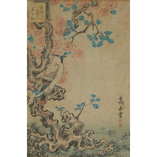 276 - Birds of paradise amongst flowers, three 19th century Japanese woodblock prints, mounted, framed and... 