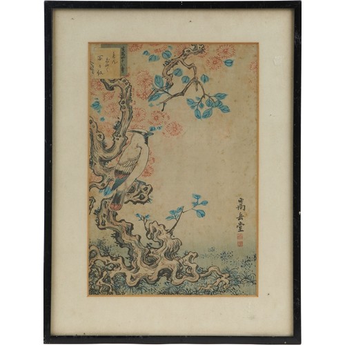 276 - Birds of paradise amongst flowers, three 19th century Japanese woodblock prints, mounted, framed and... 