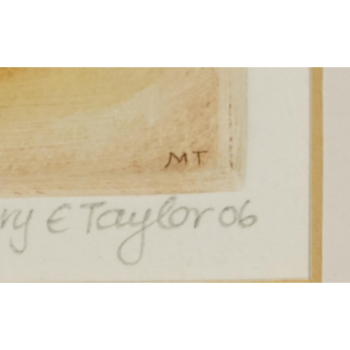 1120 - Mary E Taylor 2007 - Kiwi I, Blue Penguins and Fantail, three pencil signed etchings in colour, moun... 