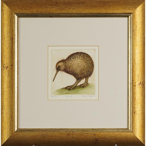 1120 - Mary E Taylor 2007 - Kiwi I, Blue Penguins and Fantail, three pencil signed etchings in colour, moun... 