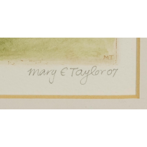 1120 - Mary E Taylor 2007 - Kiwi I, Blue Penguins and Fantail, three pencil signed etchings in colour, moun... 