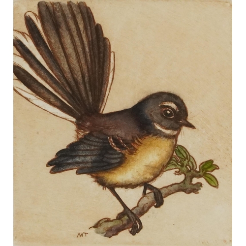 1120 - Mary E Taylor 2007 - Kiwi I, Blue Penguins and Fantail, three pencil signed etchings in colour, moun... 