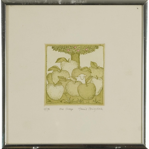 1159 - Maggie Burley - Comical animals, four pencil signed prints, each framed and glazed, three mounted, t... 