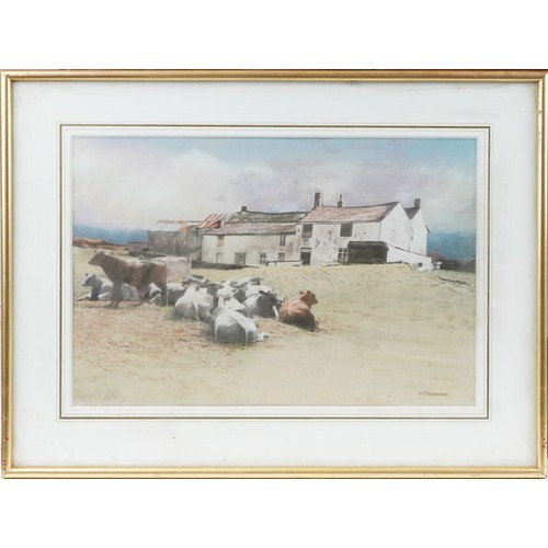 56 - K Mortimer - Cattle before farm buildings, coloured chalks, framed and glazed, 51.5cm x 35cm excludi... 