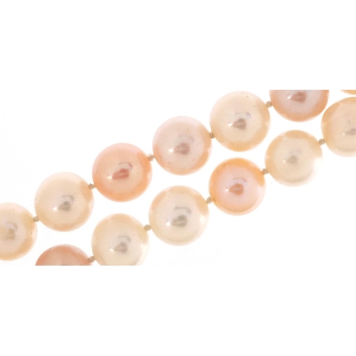 2763 - Pink and white single row cultured pearl necklace with silver clasp housed in a Garbo jeweller's cas... 