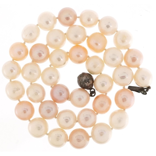 2763 - Pink and white single row cultured pearl necklace with silver clasp housed in a Garbo jeweller's cas... 