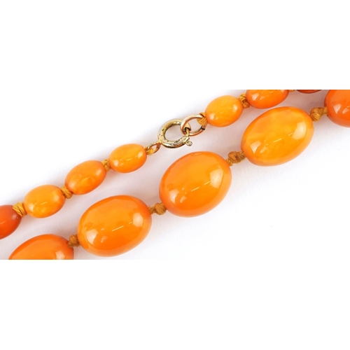 2024 - Butterscotch amber coloured graduated bead necklace, the largest bead approximately 19mm x 15mm, ove... 